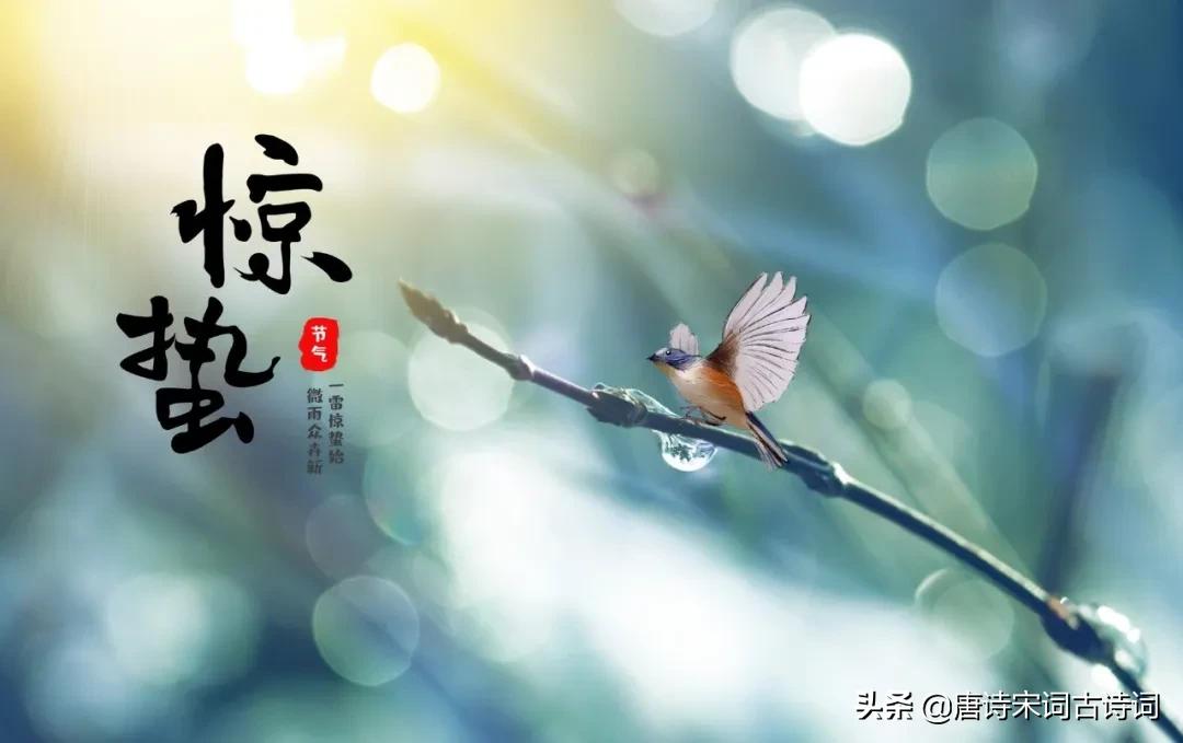 12首惊蛰诗词,关于惊蛰的诗句雷动惊蛰