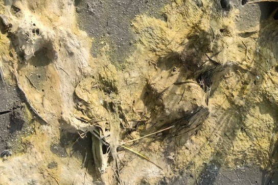 水稻水绵的防治方法,水稻防治小技术视频