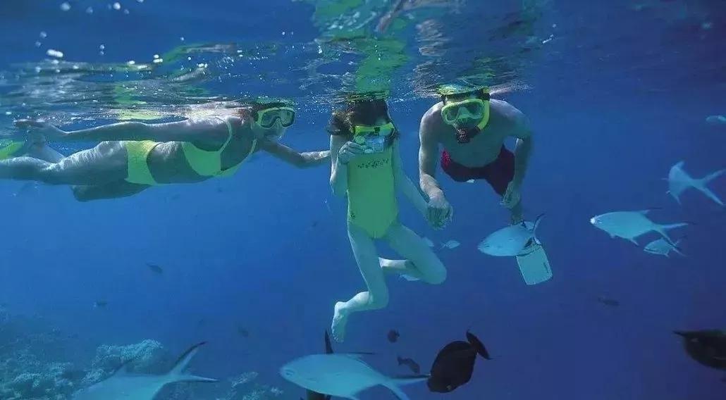 这个夏天有去浮潜吗,这个夏天一起约出来看海吗
