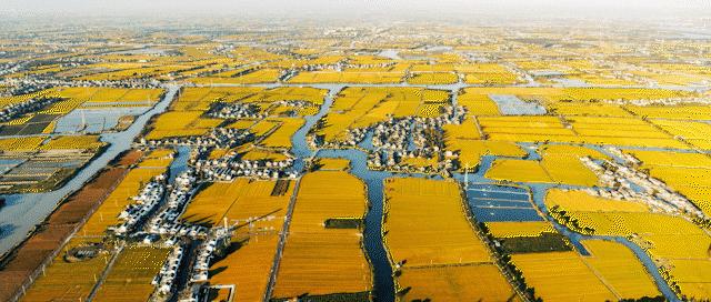 最能代表嘉兴的颜色,彩色嘉兴