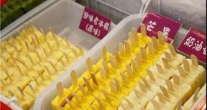 哈尔滨冰雪世界研学,新启元厦门暖冬研学营