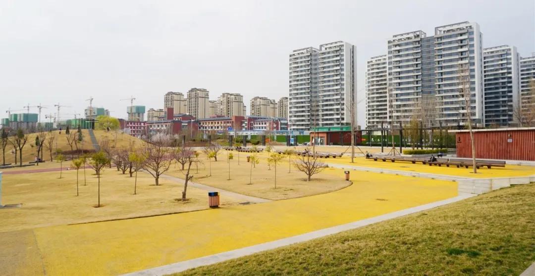 郑州免费游玩公园推荐,郑州新公园开放了吗