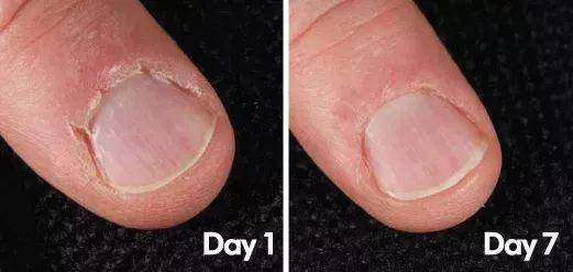 片仔癀紧致抗皱补水提亮水乳,片仔癀适合干性皮肤的面霜