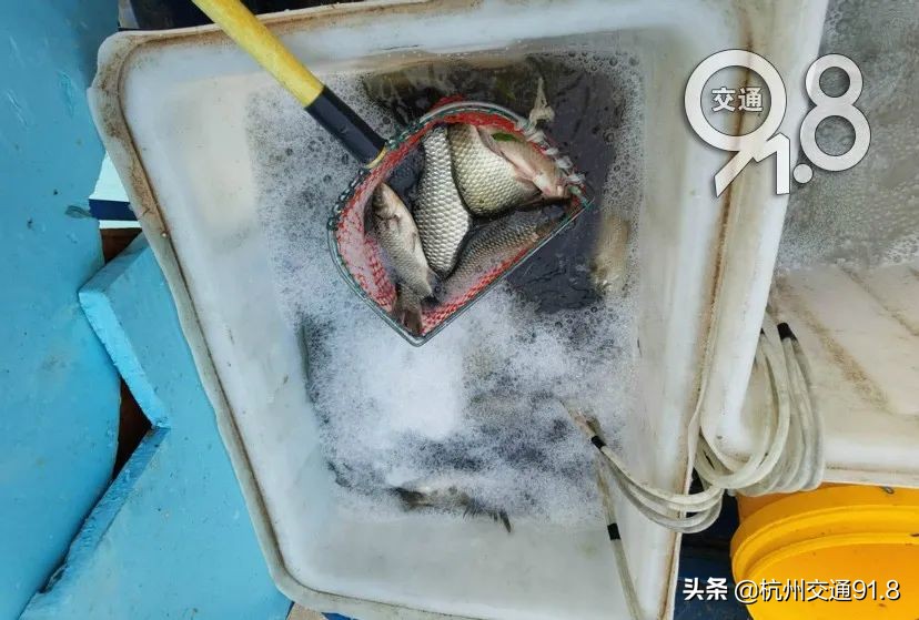 杭州两男子深夜到江边打架,杭州两男子划船