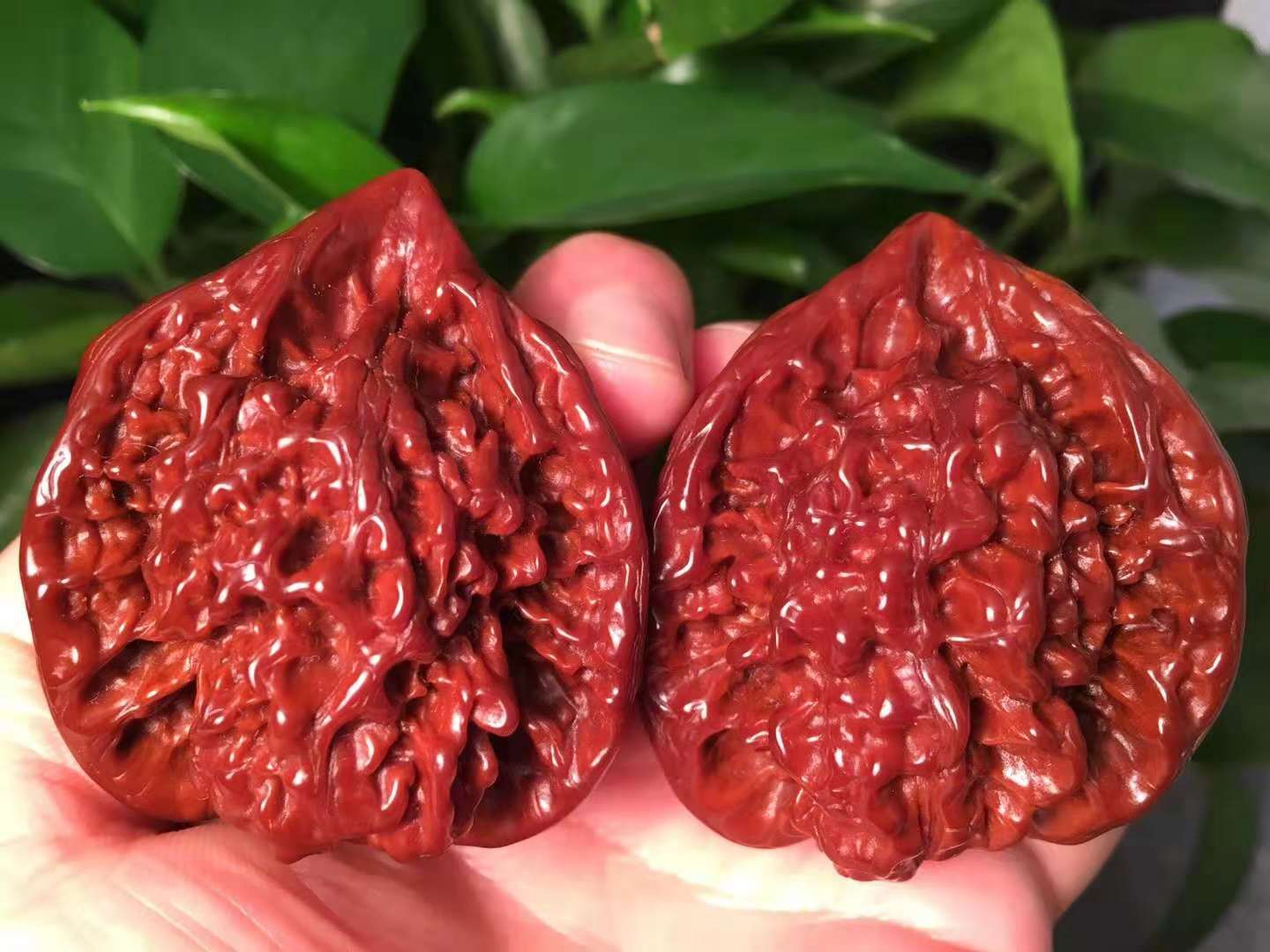 麒麟纹狮子头和王勇官帽区别,怕摔的文玩核桃品种