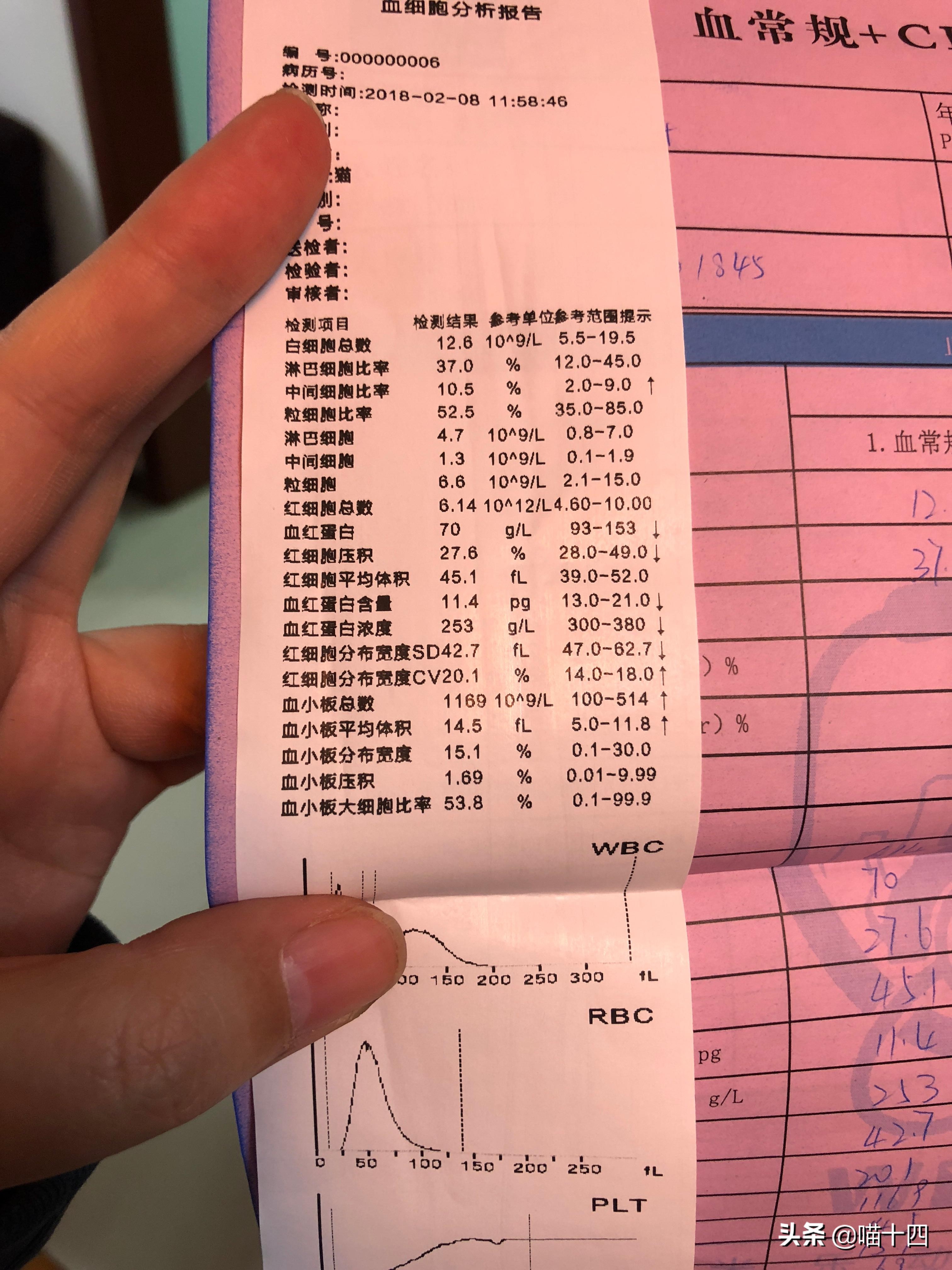 宠物医院成本及利润,宠物医院花的钱怎么报销