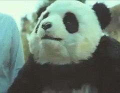 2020年摄影点评部分低分照片合集(下)(前方大量熊猫出没)