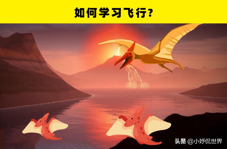 10个至今未被解开的恐龙之谜,关于恐龙的一切资料和恐龙的来源