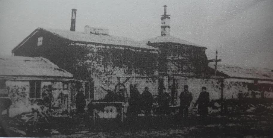 雪花青岛哈尔滨哪个好喝 (雪花哈尔滨青岛哪个啤酒好喝)