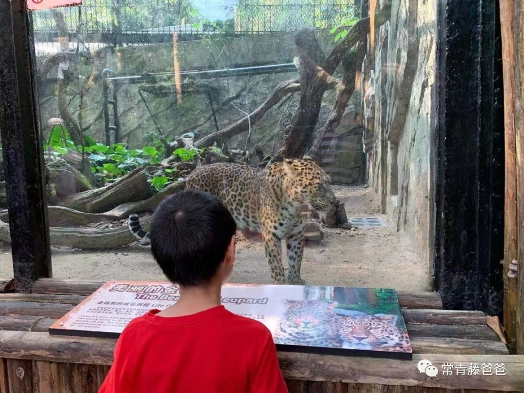 广州和珠海长隆一起玩攻略,广州珠海长隆旅游攻略5天四晚