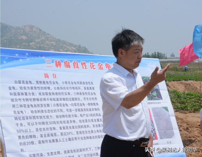 虫子王——以虫治虫的蚜虫生物防治技术体系，果农了解用处大