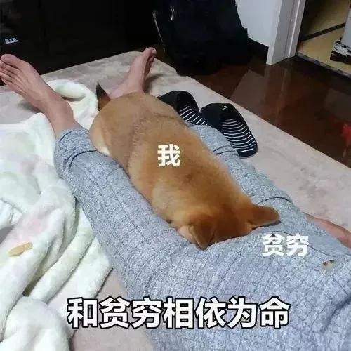 各种让人一看就想买东西的文案,姐妹朋友圈文案可爱沙雕