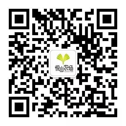 我们在距芜湖70公里的古坝村,找到了向往的生活