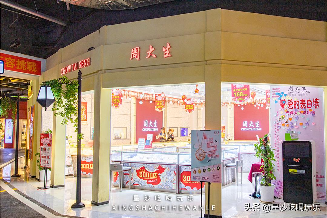 中茂城惊现海狮、海的女儿！带你开启「海洋萌宠奇遇记」