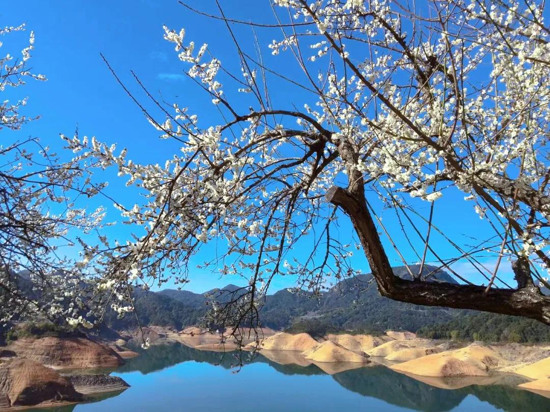 「山水中国」2021年1月｜|才入南湖烟雨路，梅开十里合春云