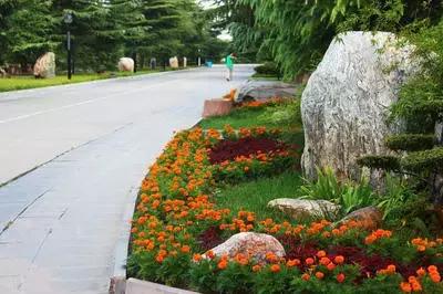 鹿邑县城市改造,百城提质