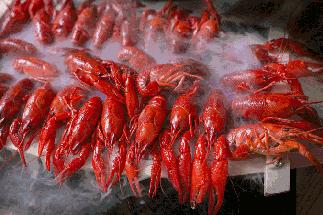 江苏什么面条好吃,江苏都有什么好吃的