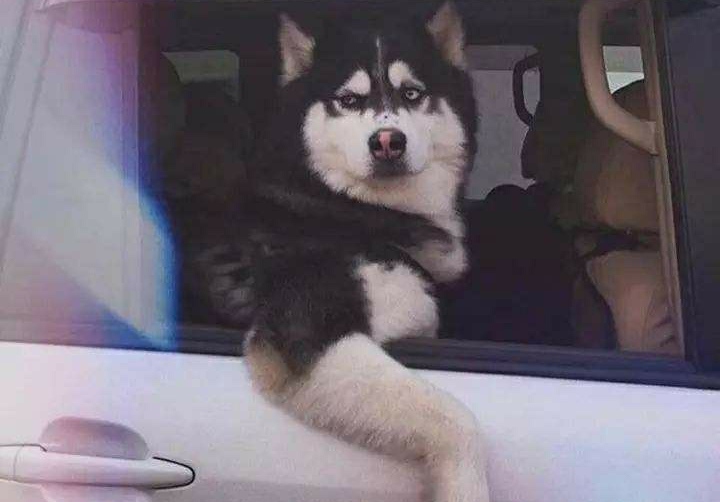 开车发怒是怎么回事,开车遇到路怒症该如何应对