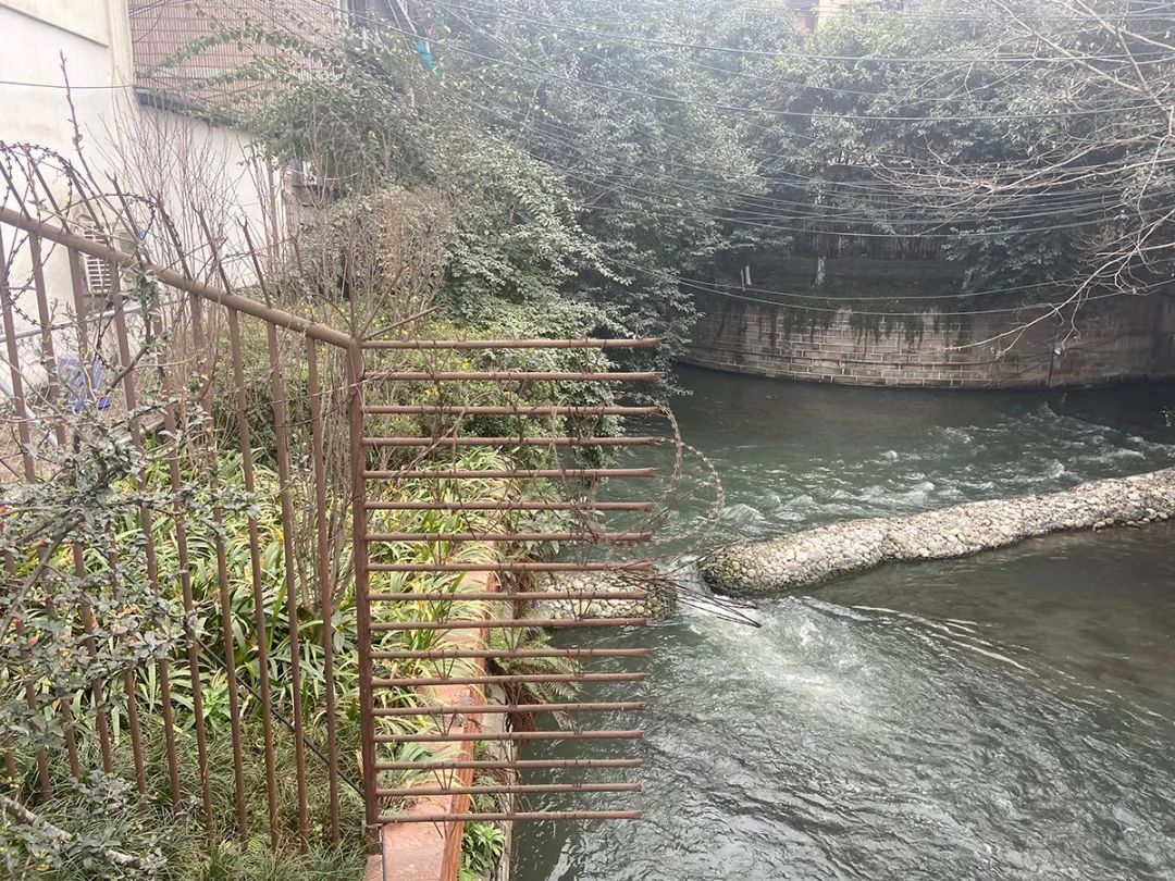 成都绿道风景美如画,成都周边哪条河边绿道最美