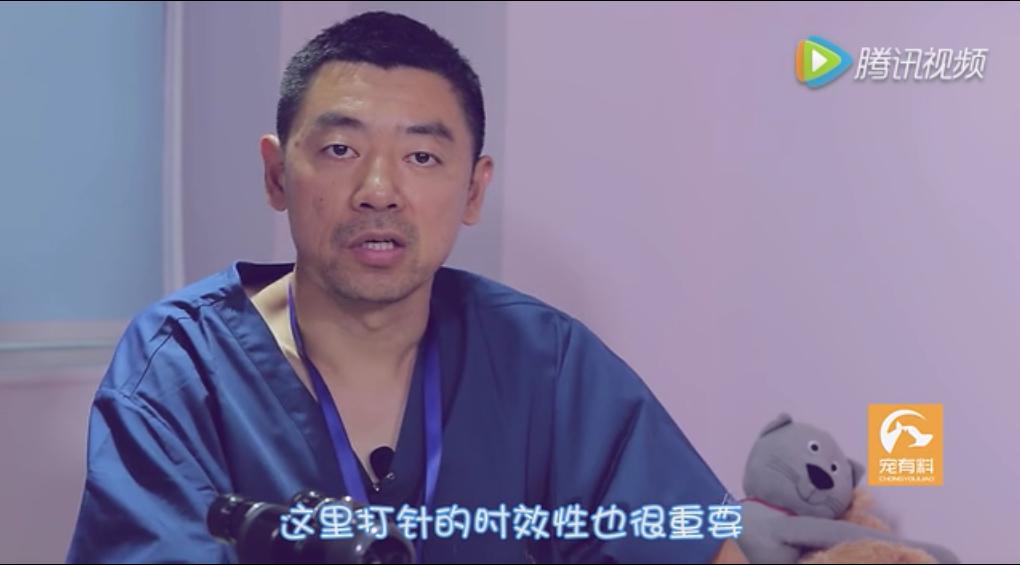 辟谣!被狗狗舔一口就会致死?别被断章取义的假新闻骗了!