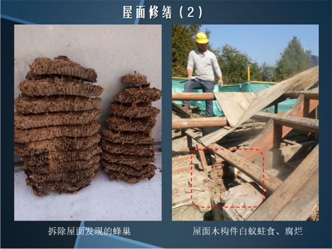 为什么我们要花大力气修复陈望道旧居?