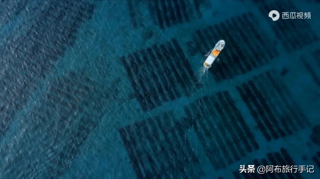 豆瓣9.1分，看过不足1500人，我却复盘了张日本最全野游图