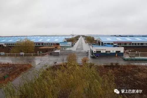 圣牧高科全程有机奶,圣牧高科天赋之旅