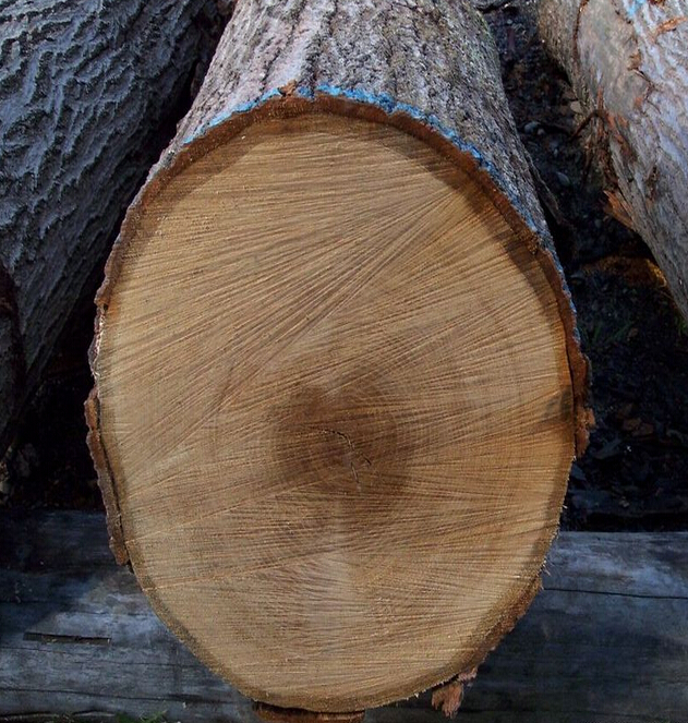 栎木地暖实木地板,久盛栎木地暖地板