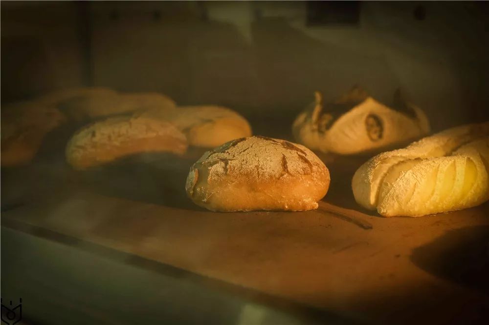 技术进阶+参观魔法森林，每个班长都值得被宠爱