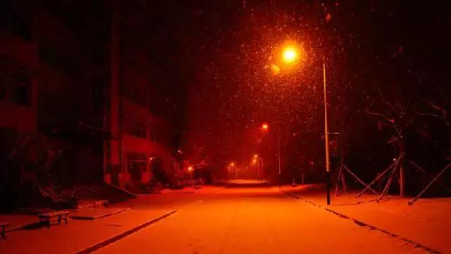 帮你快速入门单反摄影绝对经典,单反摄影入门选哪个牌子