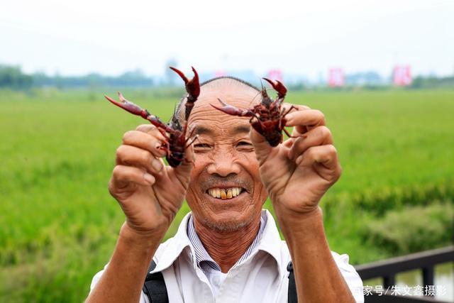 小龙虾原产地潜江深夜小龙虾盛宴,舌尖上的美味小龙虾