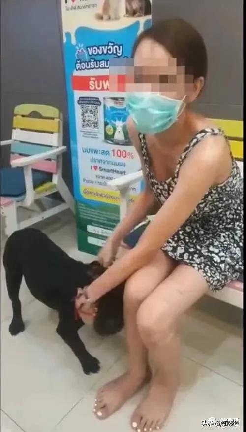 “变性人打狗”泰国热搜？比灾难更可怕的是灾难中现形的人心险恶