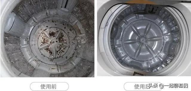 央视曾曝光，洗衣机里面比马桶脏10倍，老师傅教你一招5分钟清洁
