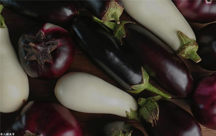 夏季茄子长期储藏的方法,茄子果实腐烂怎么处理