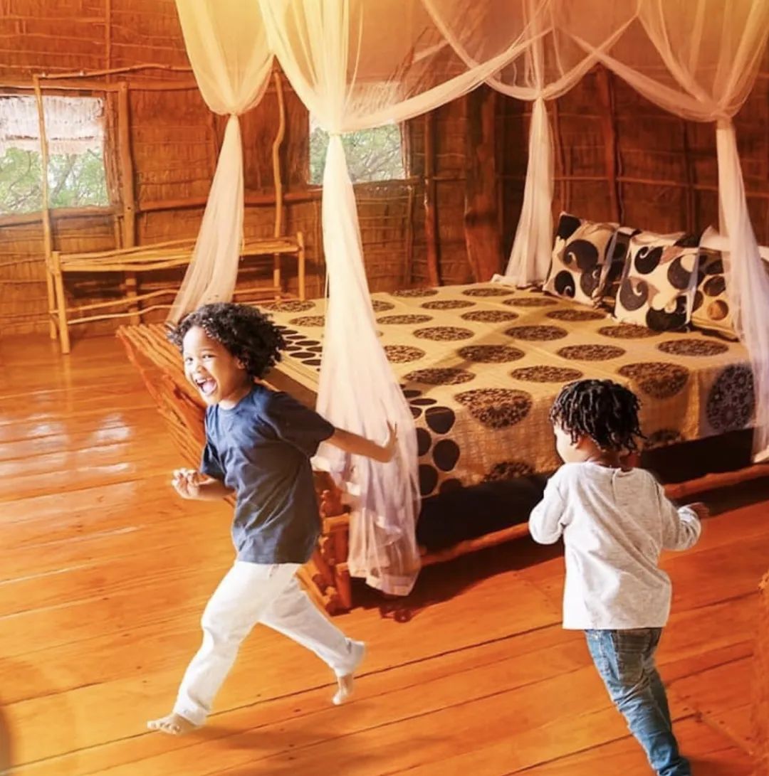 看了就想抱！这些“萌宠”温柔世界