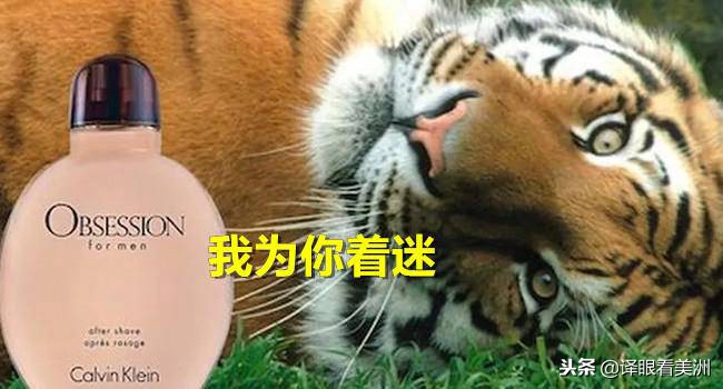 ck鐢峰＋棣欐按鏌戞,ck鐢峰＋棣欐按姝ｅ搧