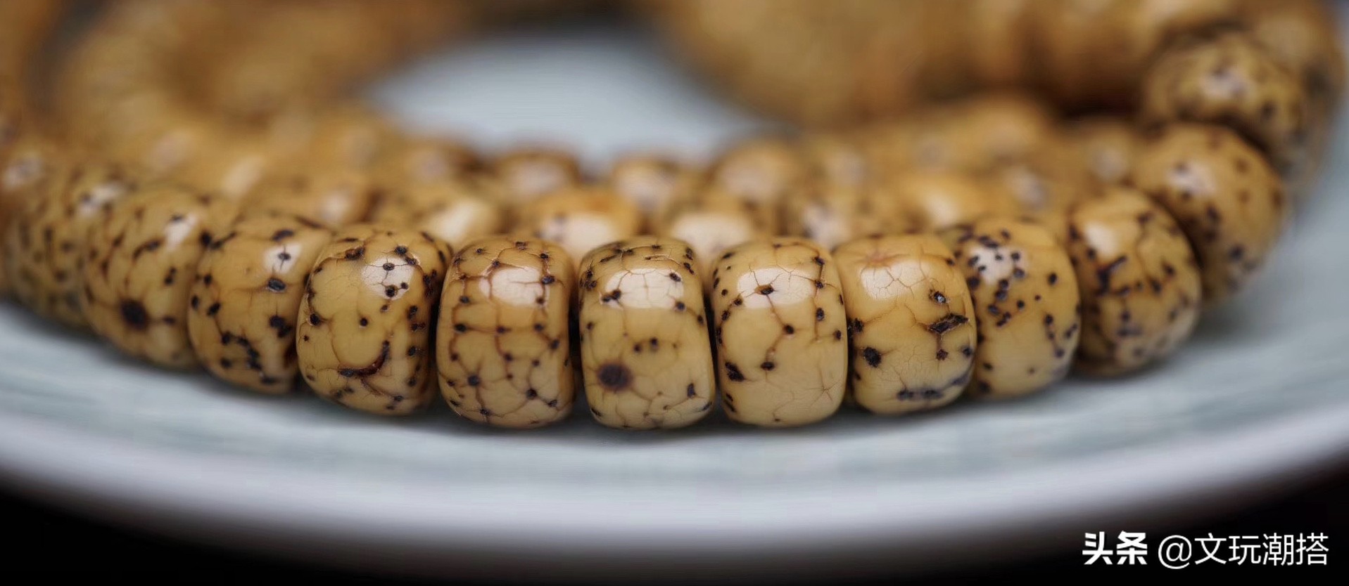 星月菩提众星捧月啥意思,众星捧月牌的星月菩提