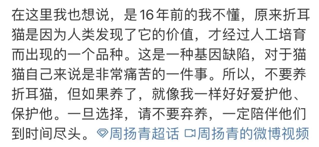 周扬青养的什么狗,周扬青呼吁不养折耳猫