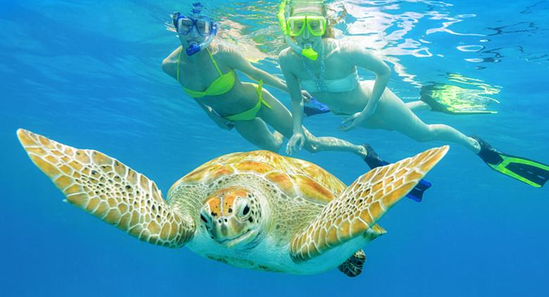 海岛五一亲子游攻略,小众海岛游攻略