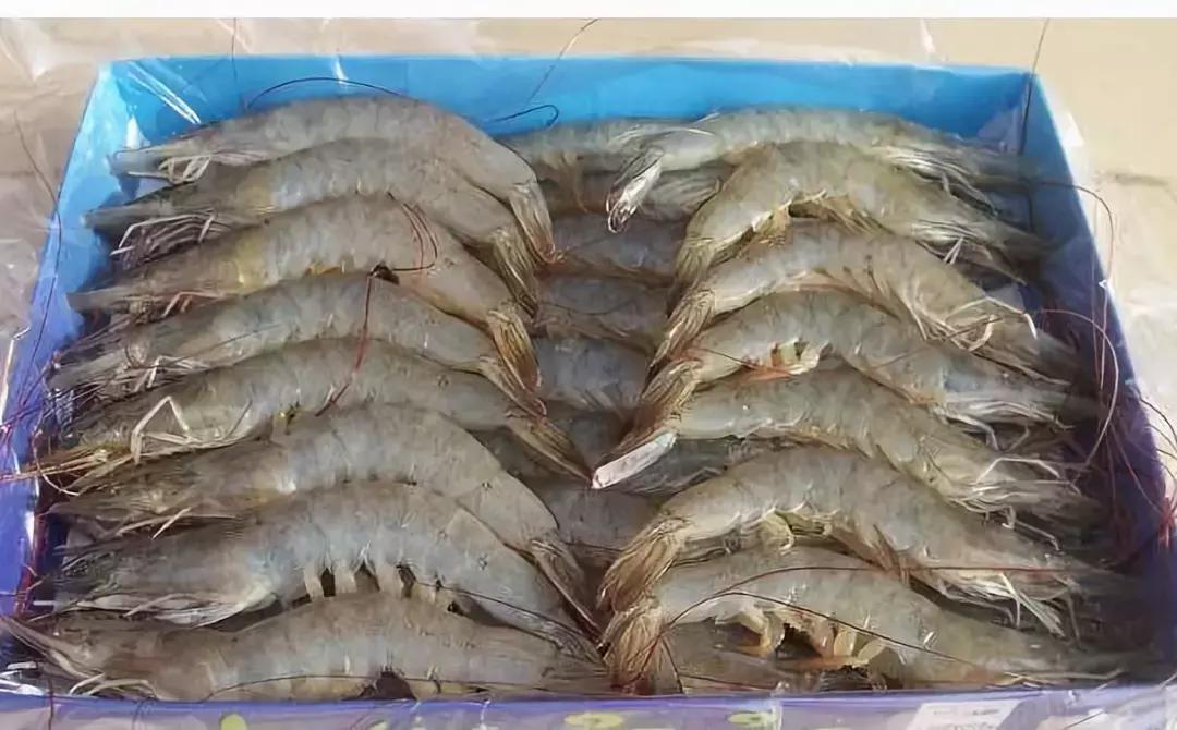 防城港怎么吃海鲜便宜不被坑,防城港干货海鲜有哪些