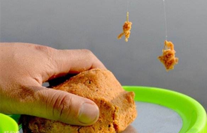 初春二月钓鱼,二月初钓鱼怎么样