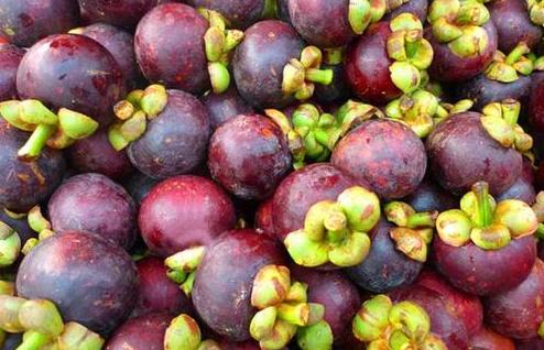 山竹怎么挑选果核少的,山竹怎么挑选公母