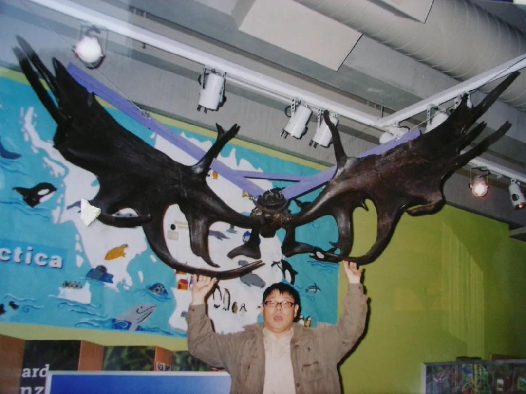 新西兰养鹿收入,新西兰鹿牧场养殖