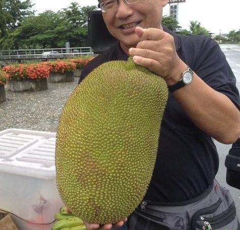 水果杂交冷知识,你不知道的水果冷知识