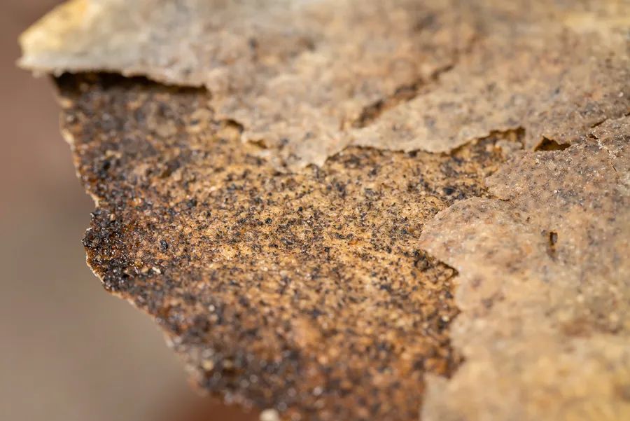 全国哪里的饼又软又筋道,全国哪里的饼卷好吃