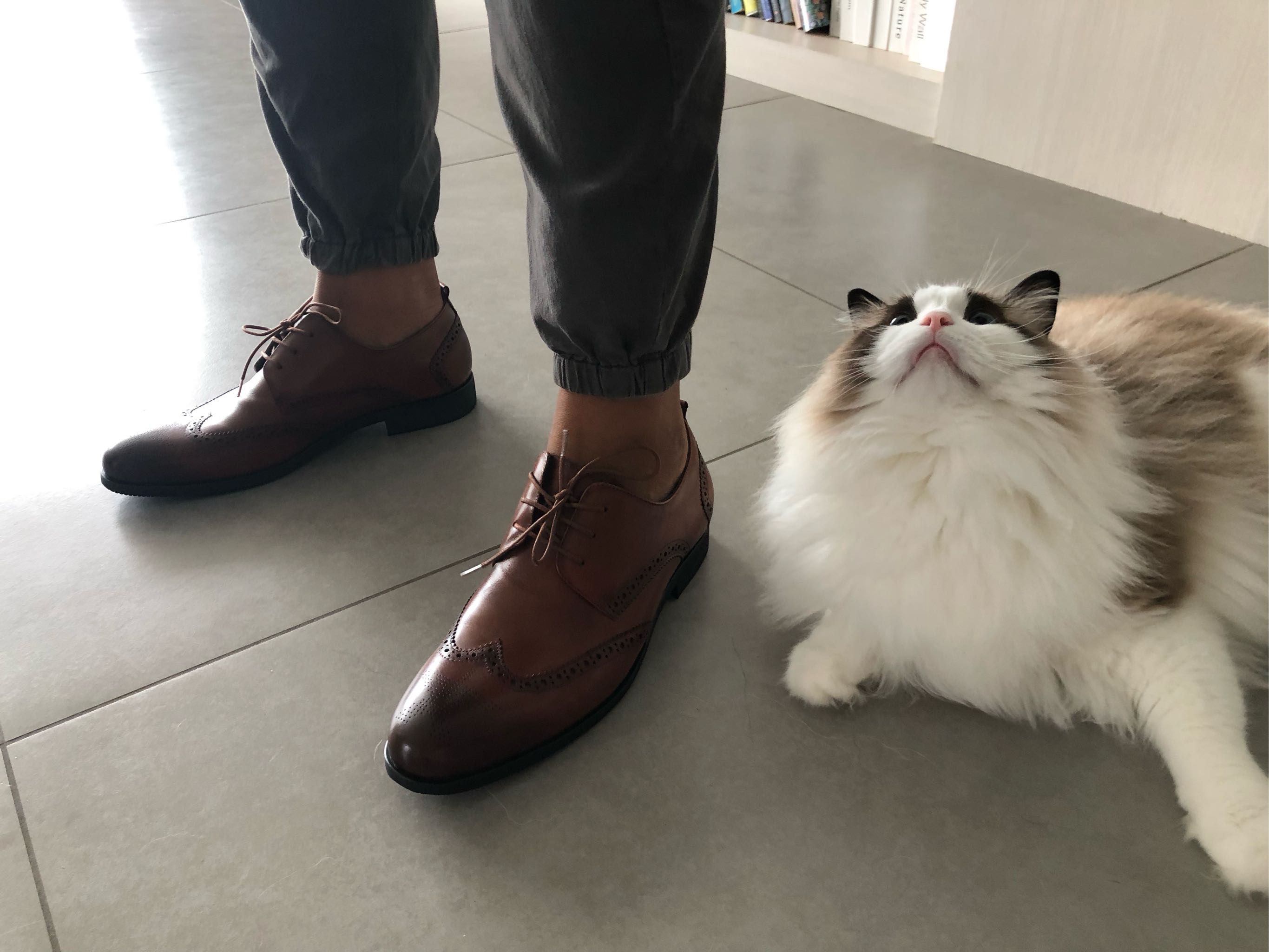 ellehomme休闲男鞋,ellehomme的皮鞋怎么样