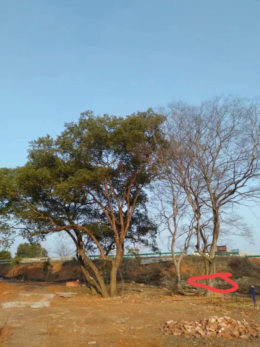 往事如烟完整版大石桥,往事如烟水冰月