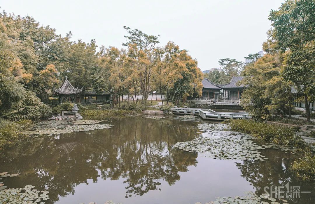 疫情期间免费开放的公园,疫情期间开放的公园有哪些