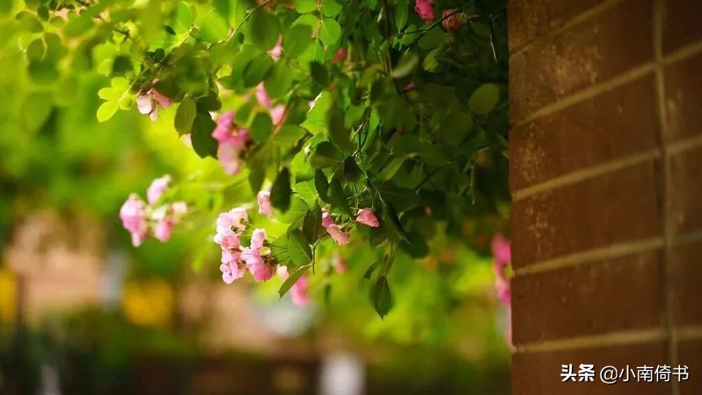 原生家庭的羁绊是斩不断的,无法选择原生家庭该怎么去做