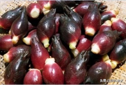 创业项目小项目,创业实用小项目